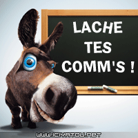 lache t'es comm's