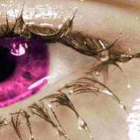 yeux